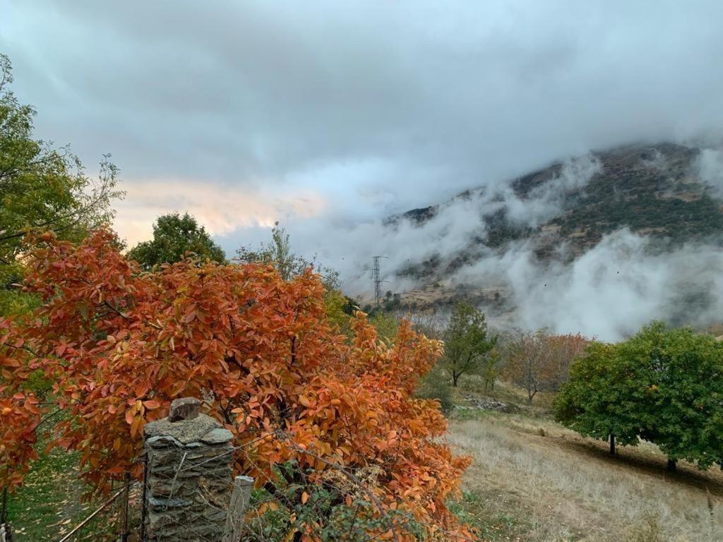 Villa Cortijo Rural El Albercon - Capileira - Alpujarra Rural Exterior foto